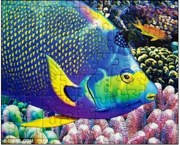 puzzle3.jpg